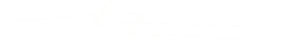 Logo di Luca Zuliani